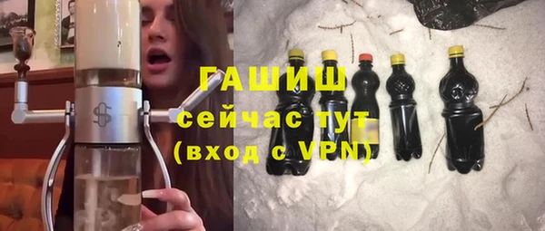 стаф Алексин