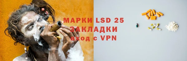 стаф Алексин