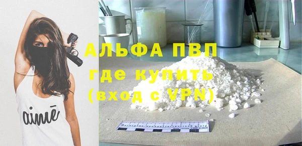 стаф Алексин