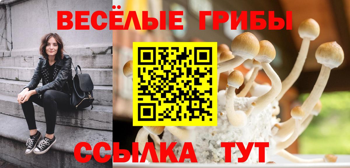 Евпатория  Псилоцибиновые грибы прущие грибы  Галлюциногенные грибы ЛСД  Вход с VPN 